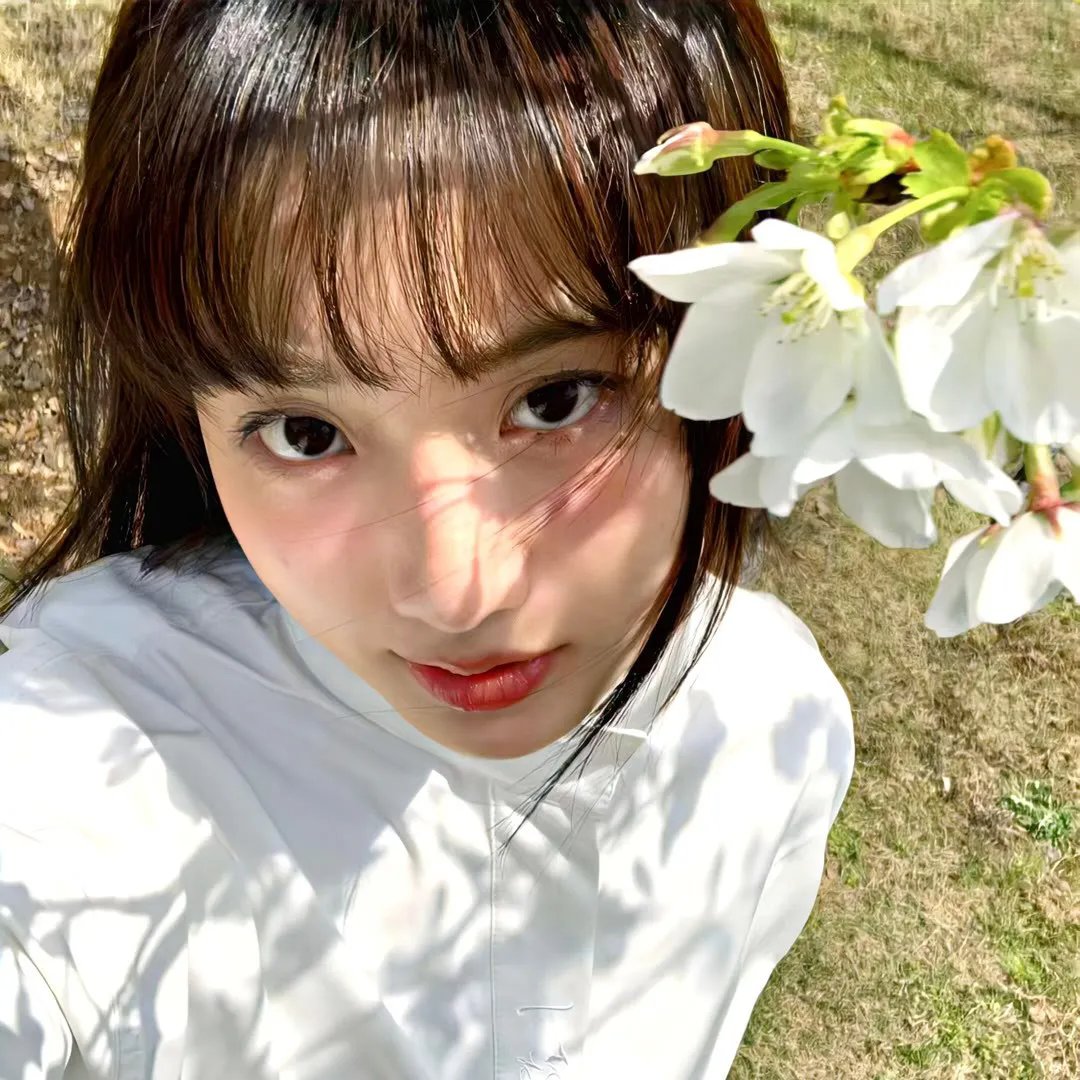 绿发仙子与森林之歌